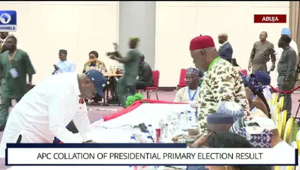 APC Begins Collation Of Presidential Primary Results