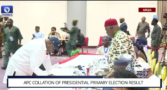 APC Begins Collation Of Presidential Primary Results