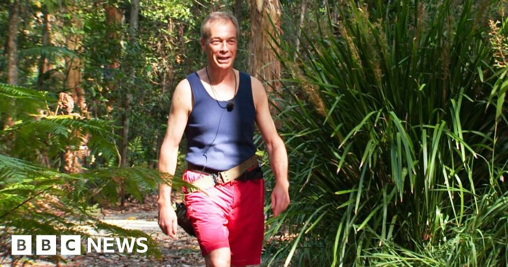 Farage paid for £1.4m house with I’m a Celebrity cash, says Reform