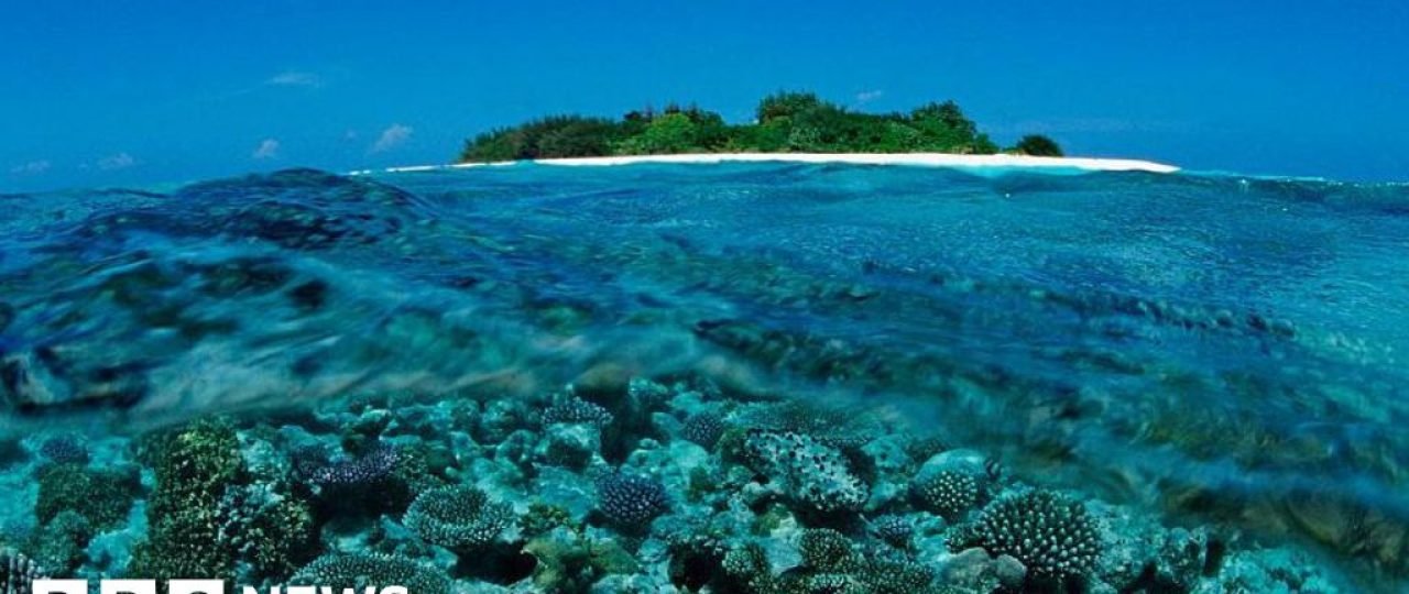 Five Italians die during cave dive in Maldives