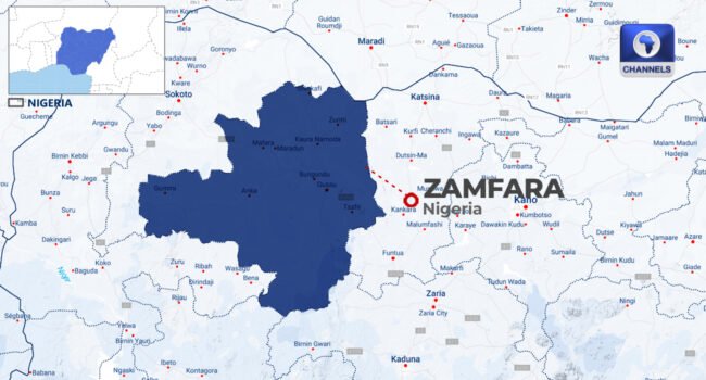 Baby Factory: Police Recover Stolen 10-Day-Old Infant In Zamfara, Arrest Suspect