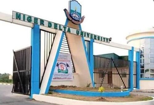 NDU Post-UTME/DE 2026: Cut-off mark, Eligibility and Registration Details