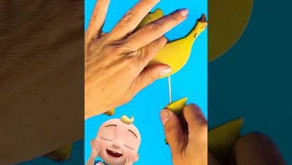 Ring ring ring! It’s a BANANA DOG🍌🐶!