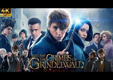 Fantastic Beasts The Crimes of Grindelwald Movie || Eddie Redmayne, Zoë Kravitz || Review And Facts