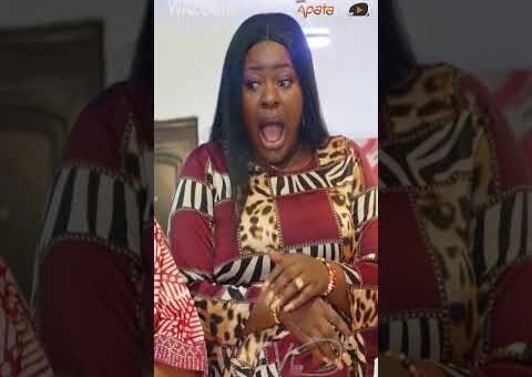 Wazobia (Peace Across The Niger) Yoruba Movie 2026 Official Trailer Now Showing On ApataTV+
