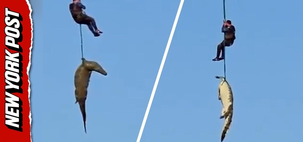 Human remains found in crocodile after South Africa river attack, police airlift animal