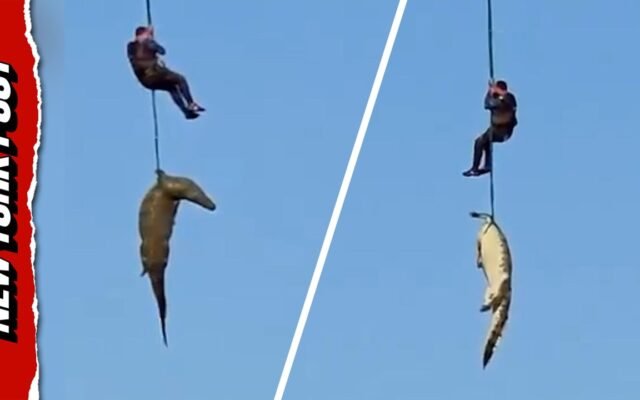 Human remains found in crocodile after South Africa river attack, police airlift animal