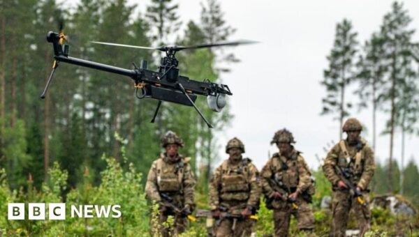 Delays to defence plan undermine UK credibility, MPs say