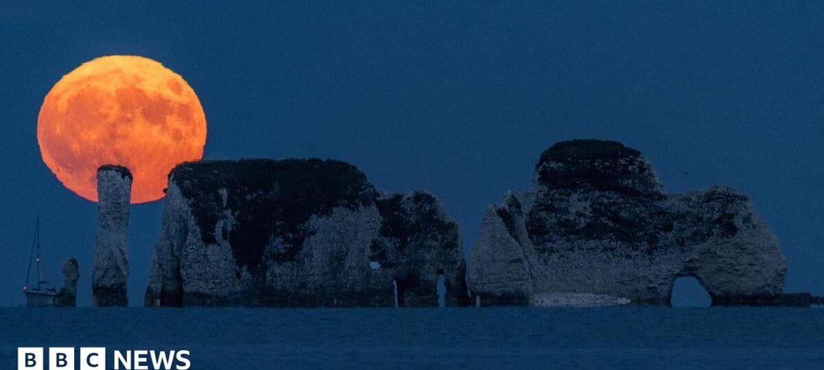 In pictures: Stunning Strawberry Moon lights up the sky