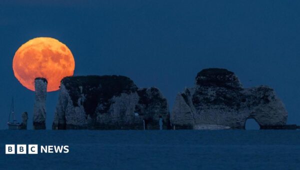 In pictures: Stunning Strawberry Moon lights up the sky