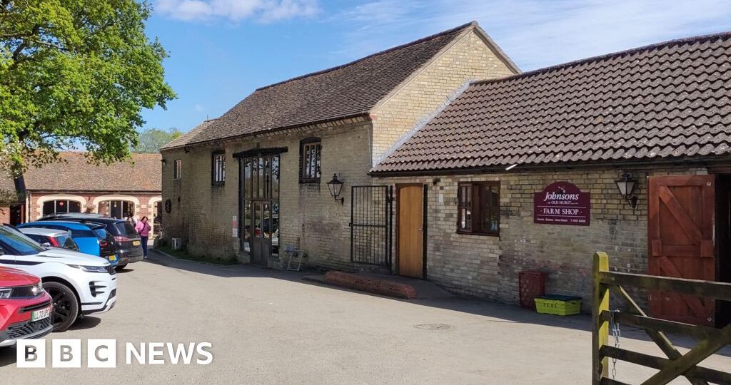 Man arrested on suspicion of attempted murder after boy injured in crocodile enclosure