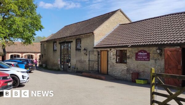 Man arrested on suspicion of attempted murder after boy injured in crocodile enclosure