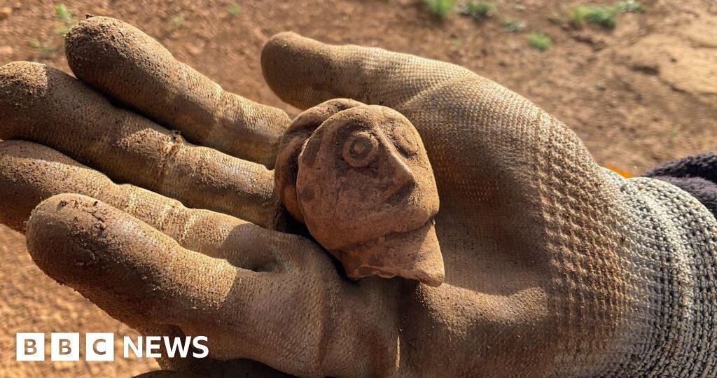 Dig site offers 'window' into Roman life