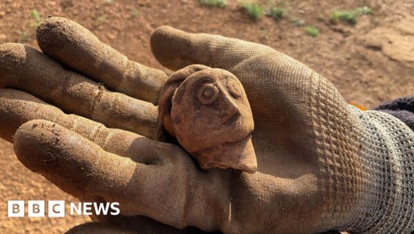 Dig site offers ‘window’ into Roman life