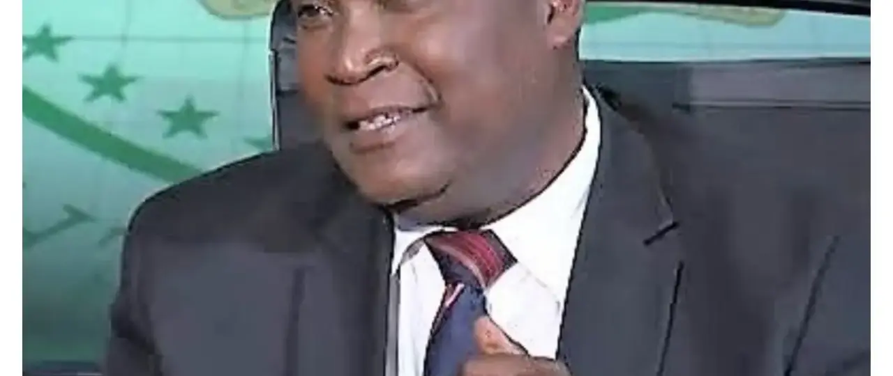 2027: Utomi’s proposal dangerous, threat to democratic stability – Agbakahi