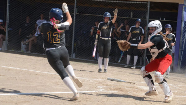 Three Region teams continue quests for state softball championships
