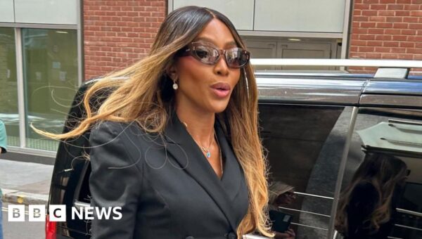 Naomi Campbell blames lawyer for ‘fraud and deception’ at charity ban appeal