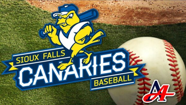 Canaries swept in Lincoln