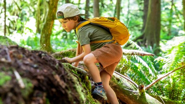 A psychologist explains why adaptable kids will outpace straight-A students in the AI era