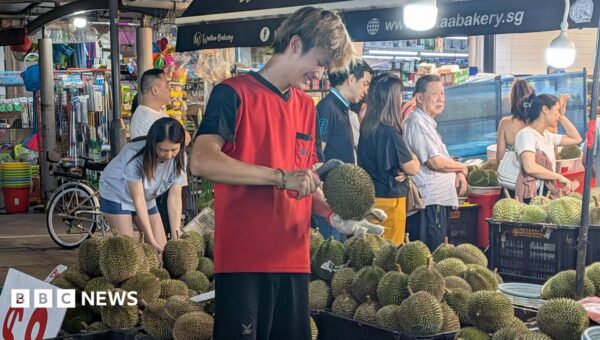 Why £15 durians are being sold at half price – or given away for free
