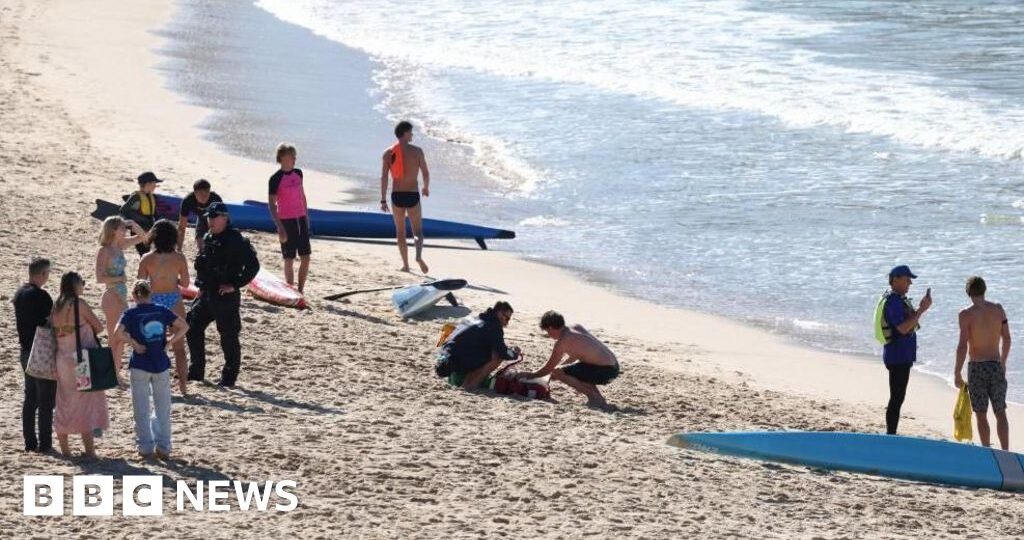 Woman seriously injured in shark attack at Sydney beach