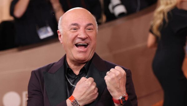 'Shark Tank' investor Kevin O'Leary says the companies he backs are skipping consultants and going straight to AI
