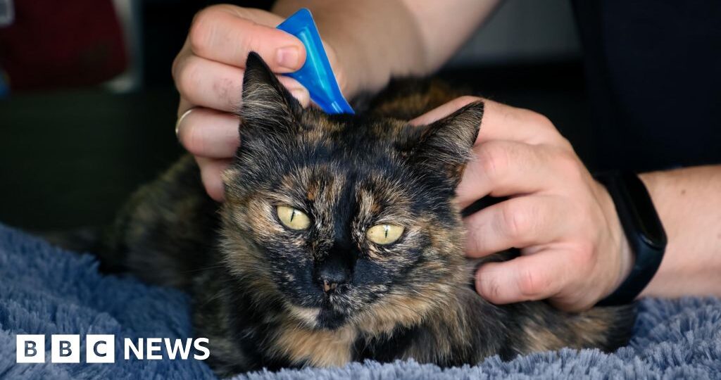 Vets advise ban on over the counter flea treatment for pets