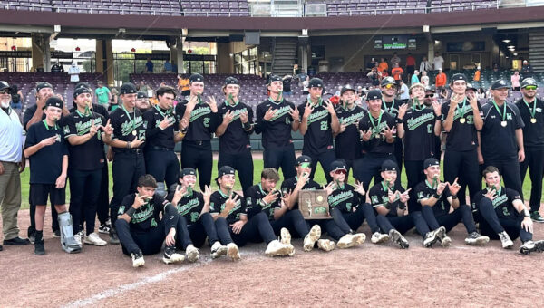 Five-run fifth leads league-less Harrison to first regional title