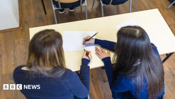 White working-class children failed by education system, says inquiry