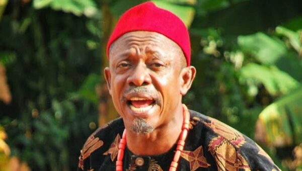 ‘I was forced into acting’ – Nkem Owoh
