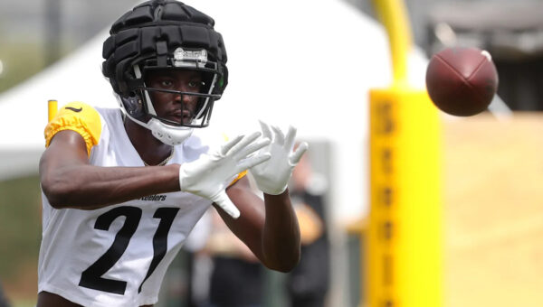 Former Steelers WR earns massive UFL honor
