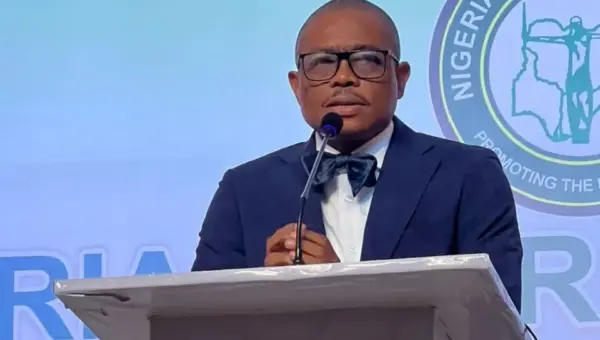 No sustainable development without rule of law – NBA President, Osigwe