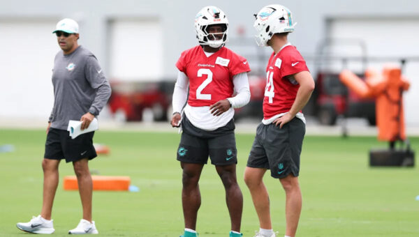 Dolphins Fans Take On Possible QB Competition