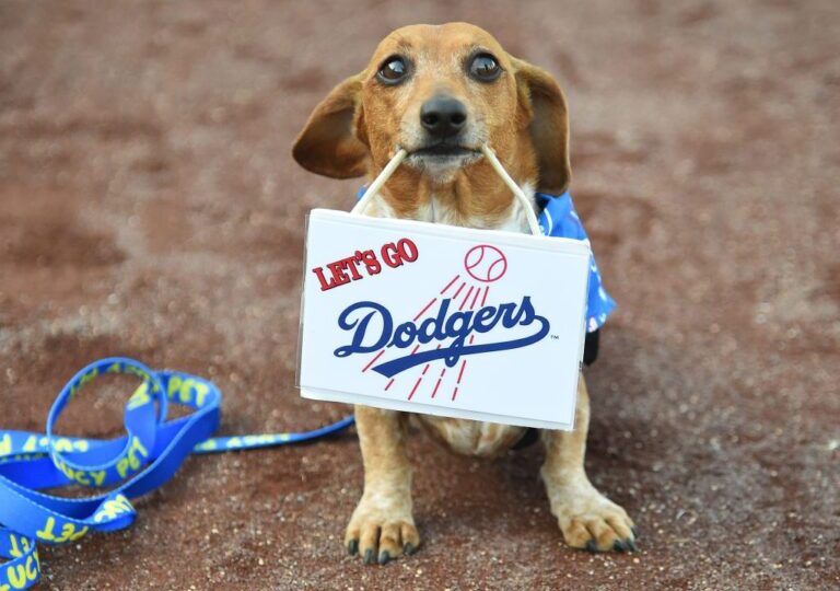 Dodgers’ Pups in the Park Results in Viral Confrontation