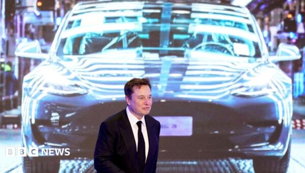 Texas family sues Tesla over fatal crash into home