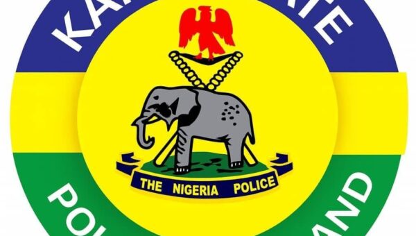 345 in police net as Kano cracks down on crime