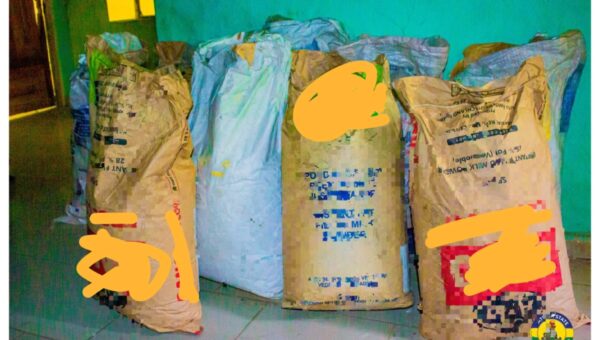 Katsina police arrest man over alleged sale of adulterated, unsafe milk