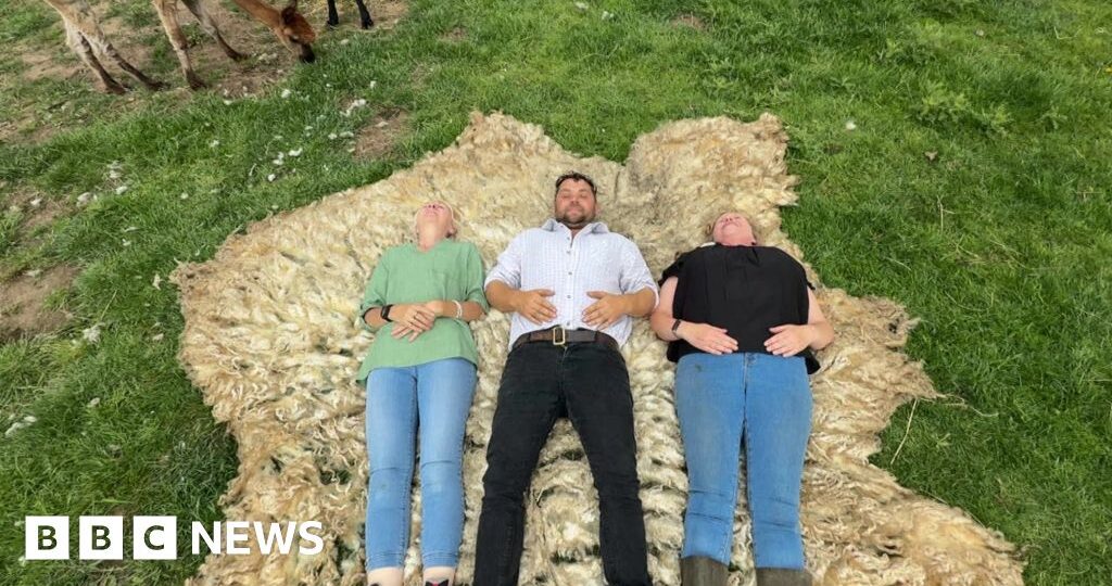 Ewe won't believe it: 8ft fleece sheared from sheep
