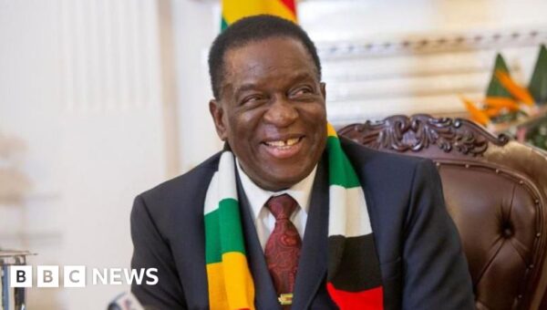 Zimbabwe MPs pass bill to extend president’s time in power