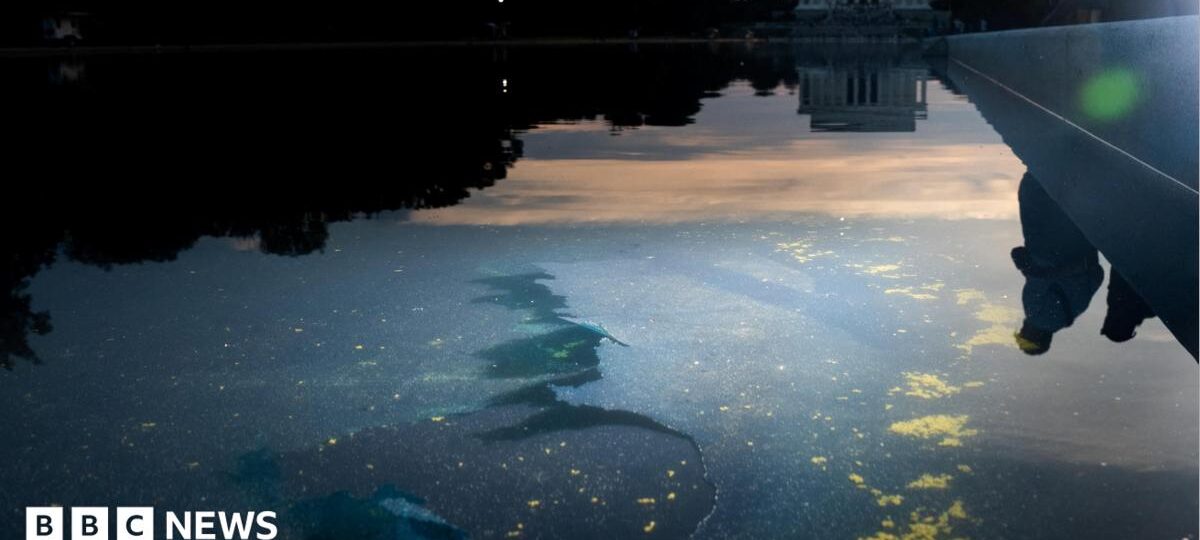 Reflecting Pool liner cut with sharp knife or razor, National Park Service says