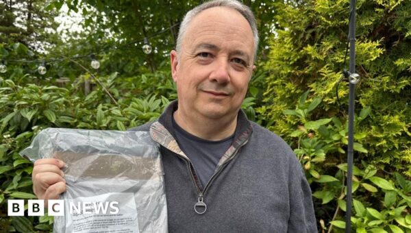 Royal Mail delivers new parent magazine to father 19 years late