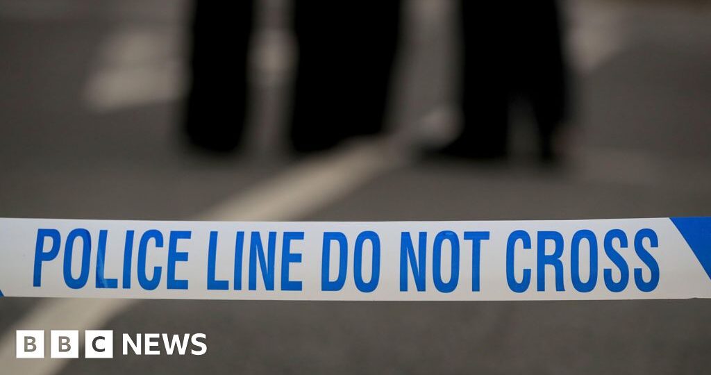 Boy, 17, stabbed to death in south London prompting murder investigation