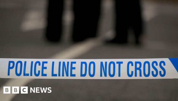 Boy, 17, stabbed to death in south London prompting murder investigation