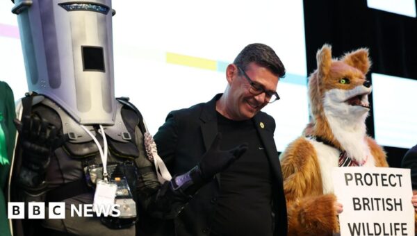 Why candidates dress up and run in major UK elections