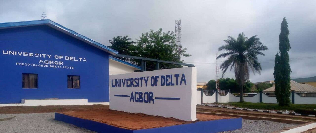 UNIDEL Post UTME/DE Form for 2026/2027 Admission