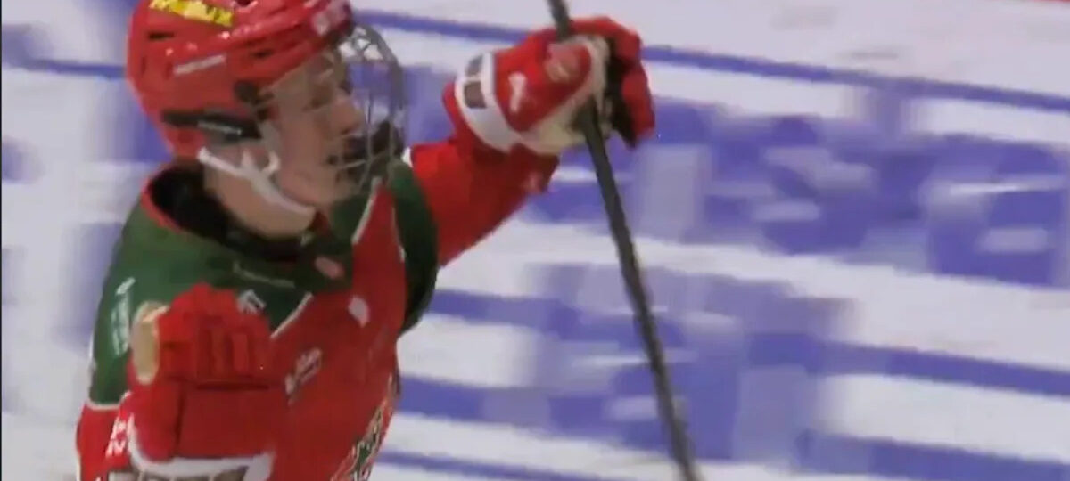 Capitals 2026 NHL Draft Targets: Winger Elton Hermansson