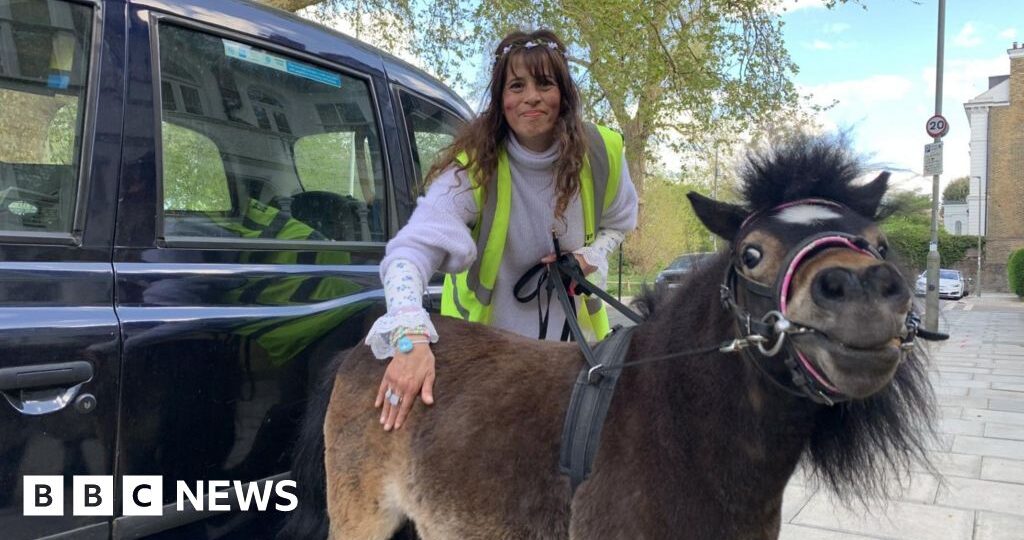 'He's a life saver': The miniature therapy horse that travels by taxi