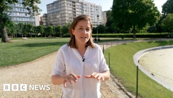 Europe’s ‘punishing’ record-breaking heatwave