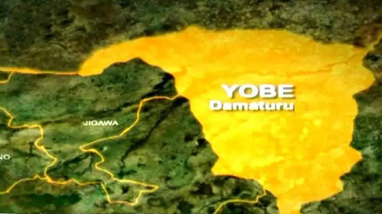 Residents kick as water scarcity hits Damaturu