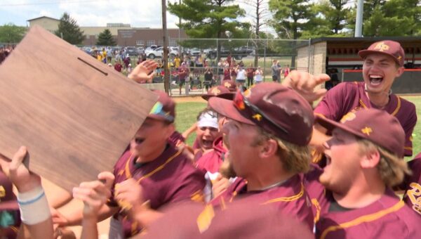 Previewing the 5 Central Illinois baseball teams battling for a spot at state Monday